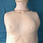 Resusci Anne torso skillreporter